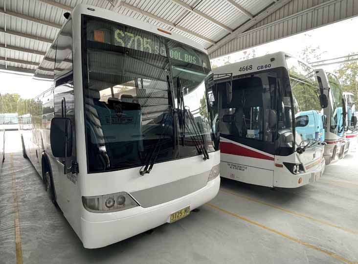 Port Stephens Volvo B7R Autobus 12 & B7RLE Custom CB60 Evo II 40